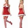Christmas Costume