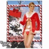 Christmas Costume
