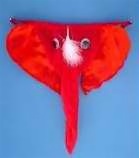 man's brief