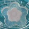 transparent soap