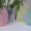 transparent soap